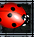 Coccinellah.png