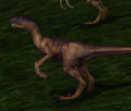 Erdeiraptor.png